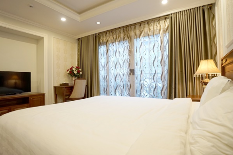 Luxurious 1 bedroom apartment for rent in Hai Ba Trung district, Hanoi