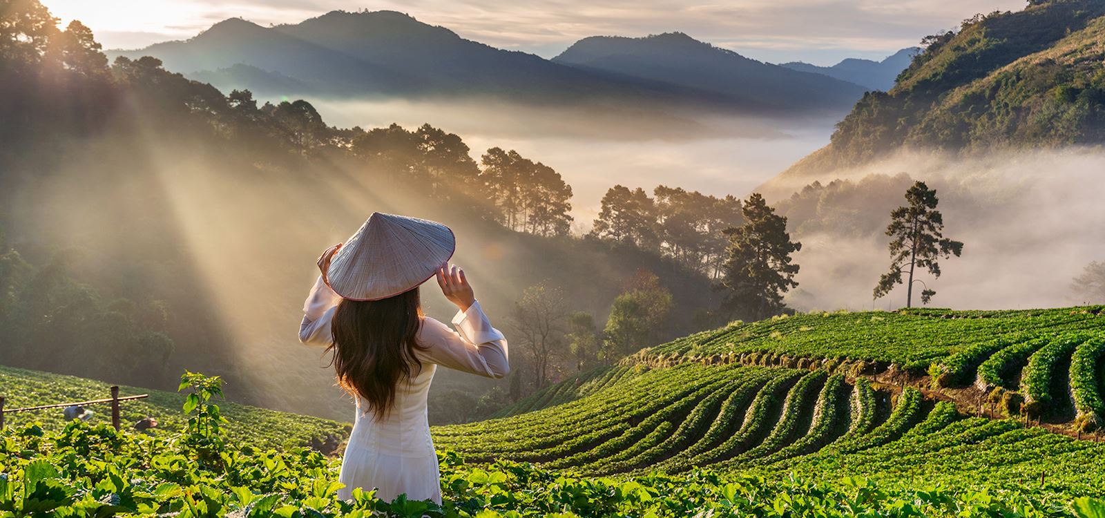 How to Overcome Travel Fears in Vietnam