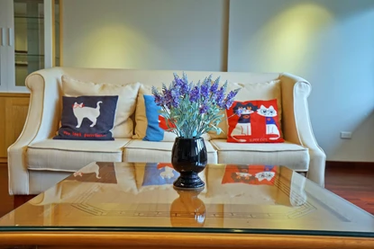 Lake view modern 2 bedrooms apartment for rent on Xuan Dieu, Tay Ho district, Hanoi 