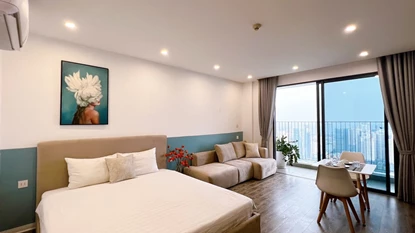 Bright and Chic Studio Apartment for Rent in Vinhome D'capitale, Tran Duy Hung – 40 sqm of Contemporary Urban Living