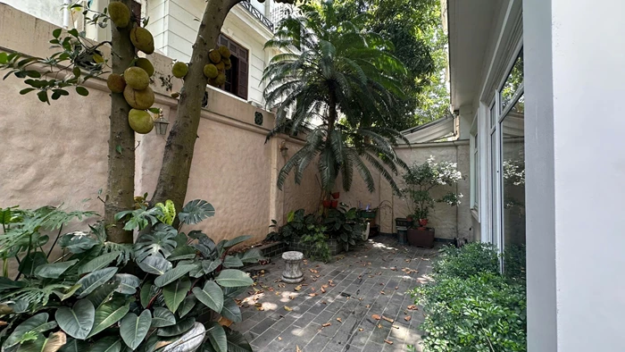 Image 19