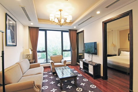 Modern One bedroom Apartment in Hai Ba Trung District