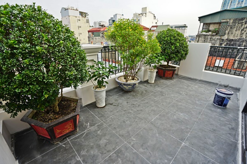 Brand new 1 bedroom apartment with large private terrace for rent in Hai Ba Trung, Hanoi