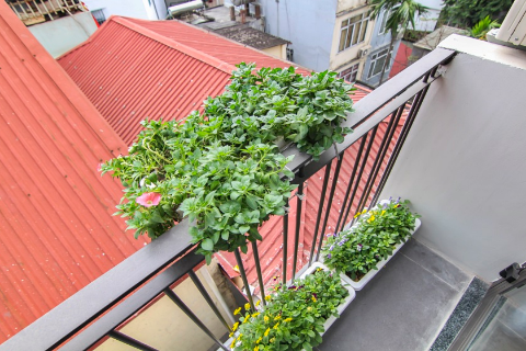 Modern apartment for rent in Ba Dinh district, closed Lotte building