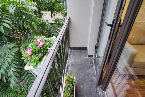 Charming 1 bedroom  apartment  for rent near Lotter Center, Ba Dinh