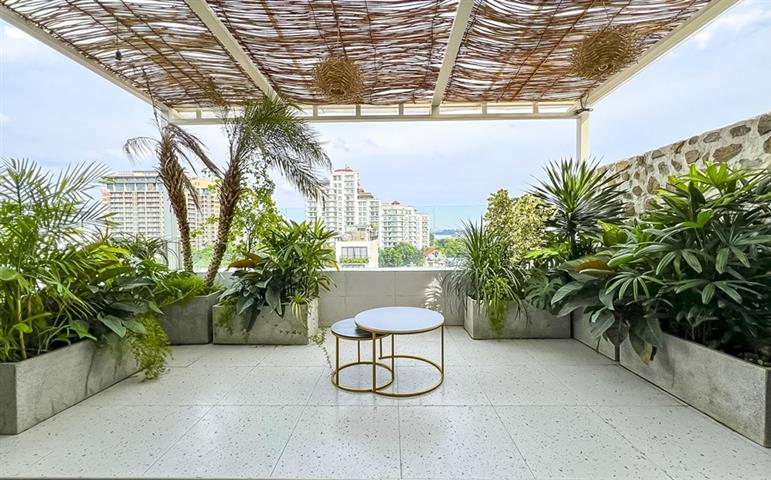 Spacious and modern 3-bedroom triplex apartment with beautiful terrace on Dang Thai Mai, Tay Ho