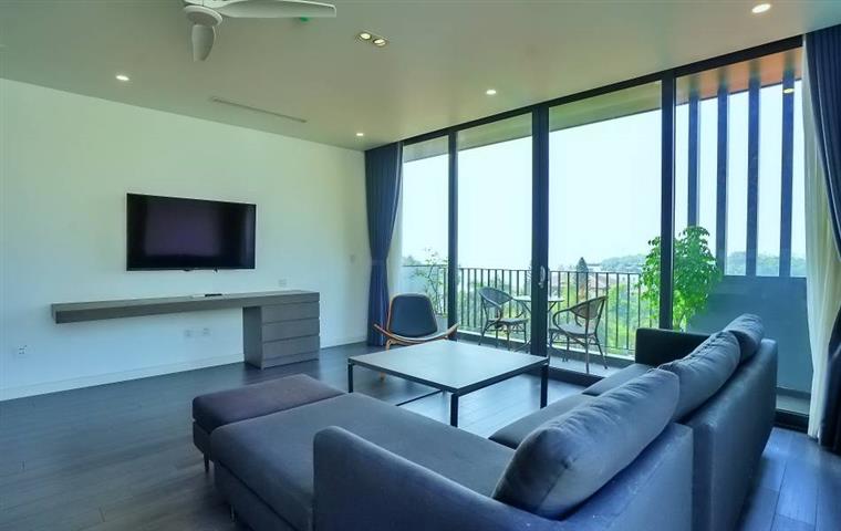 Modern lake view 3 bedroom apartment for rent in Xuan Dieu