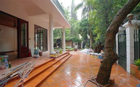 Garden and swimming pool